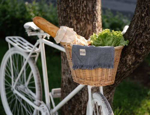 Settling in the Netherlands: Food and essentials for a smooth start